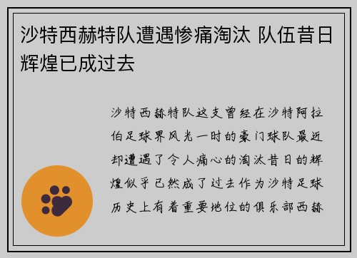 沙特西赫特队遭遇惨痛淘汰 队伍昔日辉煌已成过去