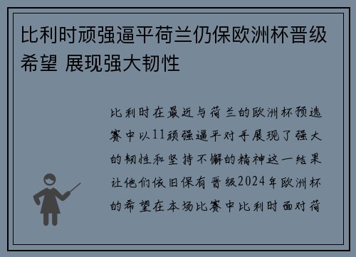 比利时顽强逼平荷兰仍保欧洲杯晋级希望 展现强大韧性