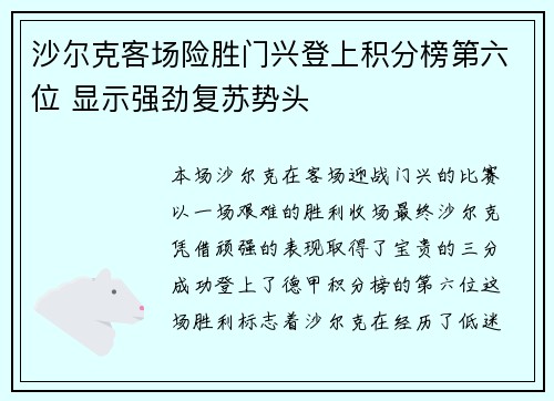 沙尔克客场险胜门兴登上积分榜第六位 显示强劲复苏势头