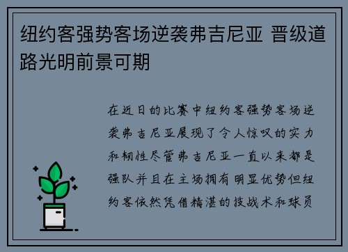 纽约客强势客场逆袭弗吉尼亚 晋级道路光明前景可期